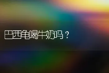 巴西龟喝牛奶吗？