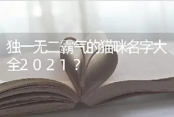 独一无二霸气的猫咪名字大全2021？