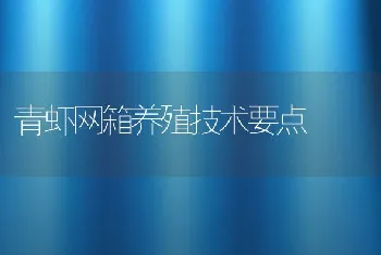 青虾网箱养殖技术要点