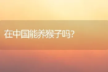 在中国能养猴子吗？