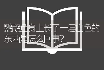 鹦鹉鱼身上长了一层白色的东西是怎么回事？