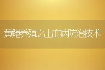 黄鳝养殖之出血病防治技术