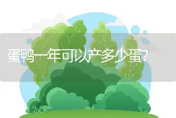 蛋鸭一年可以产多少蛋？