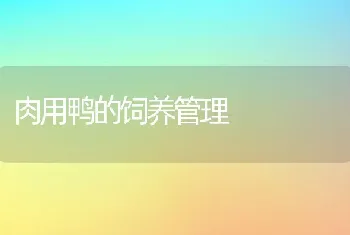 饲喂鲁梅克斯能减少畜禽疾病