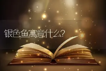 银色鱼寓意什么？