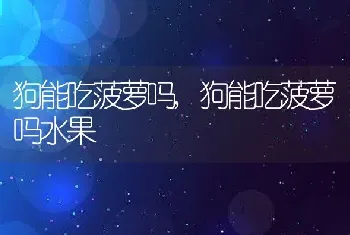 狗能吃菠萝吗，狗能吃菠萝吗水果