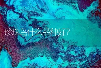 珍珠鸟什么品种好？