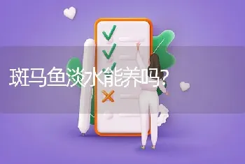 斑马鱼淡水能养吗？