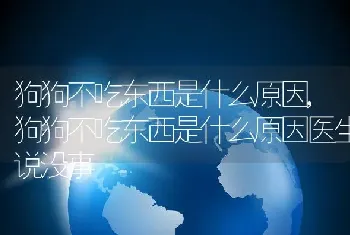 狗狗不吃东西是什么原因，狗狗不吃东西是什么原因医生说没事