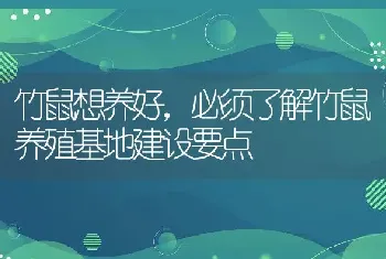 竹鼠想养好，必须了解竹鼠养殖基地建设要点