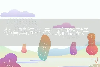 龙虾怎么养?