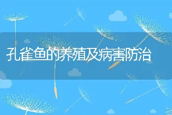 孔雀鱼的养殖及病害防治