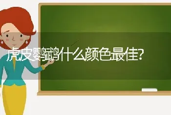 为什么我家阿拉斯加谁都能牵走？平时看见主人也不会摇尾巴？这种狗是不是没用不能看家？