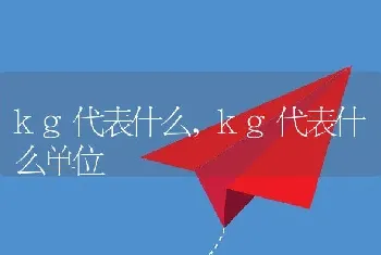 kg代表什么，kg代表什么单位