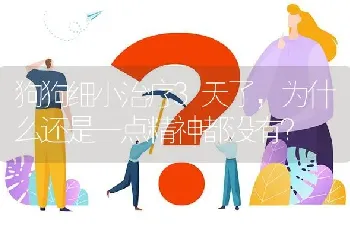 狗狗细小治疗3天了，为什么还是一点精神都没有？