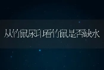 从竹鼠尿印看竹鼠是否缺水