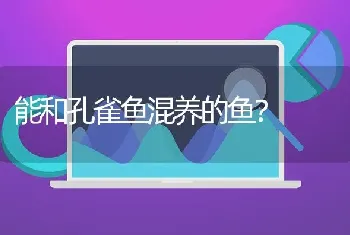 能和孔雀鱼混养的鱼？