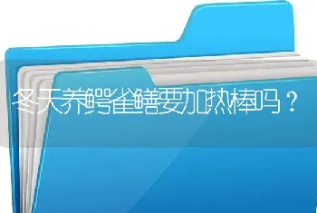 冬天养鳄雀鳝要加热棒吗？