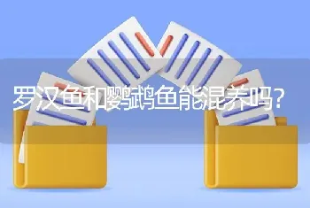 罗汉鱼和鹦鹉鱼能混养吗？