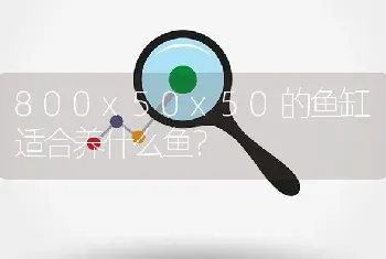 800x50x50的鱼缸适合养什么鱼？