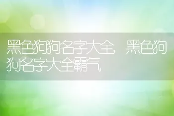 黑色狗狗名字大全，黑色狗狗名字大全霸气