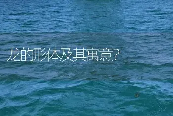 龙的形体及其寓意？