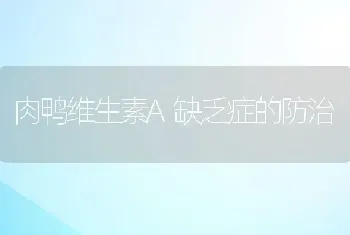 肉鸭维生素A缺乏症的防治