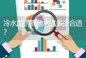 冷水血鹦鹉鱼水温多少合适？