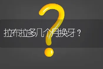 拉布拉多几个月换牙？