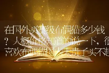 在国外买赛级布偶猫多少钱？大概价格知道的说一下，很喜欢布偶猫国内太贵了买不起？