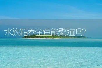 水族箱养金鱼能繁殖吗？