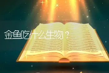 金鱼吃什么生物？