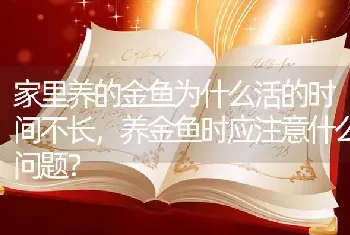 家里养的金鱼为什么活的时间不长，养金鱼时应注意什么问题？