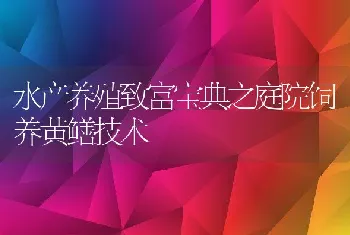 水产养殖致富宝典之庭院饲养黄鳝技术