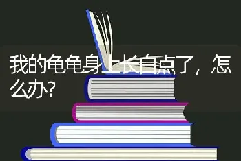 我的龟龟身上长白点了，怎么办？