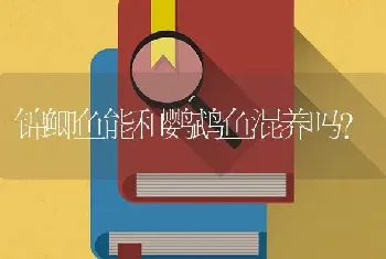 锦鲫鱼能和鹦鹉鱼混养吗？