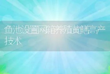 鱼池设置网箱养殖黄鳝高产技术