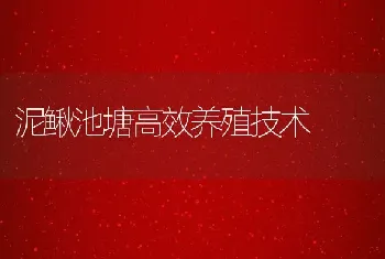 泥鳅池塘高效养殖技术