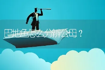 巴地鱼怎么分辨公母？