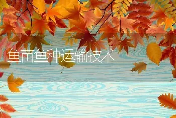 鱼苗鱼种运输技术