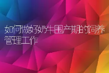 如何做好奶牛围产期的饲养管理工作