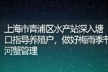 上海市青浦区水产站深入塘口指导养殖户，做好梅雨季节河蟹管理