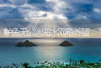 鲈鱼无公害海水网箱养殖