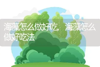 海藻怎么做好吃，海藻怎么做好吃法