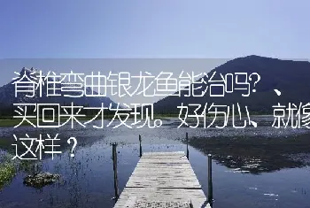 脊椎弯曲银龙鱼能治吗？、买回来才发现。好伤心、就像这样？