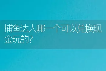 捕鱼达人哪一个可以兑换现金玩的？