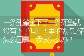 一条孔雀鱼下了一条死鱼就没有下了但肚子里的黑点还在怎么回事，我该怎么办？