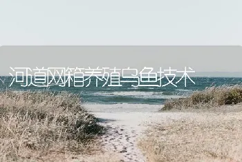 河道网箱养殖乌鱼技术