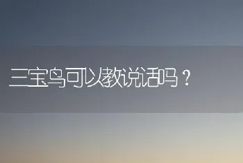 三宝鸟可以教说话吗？