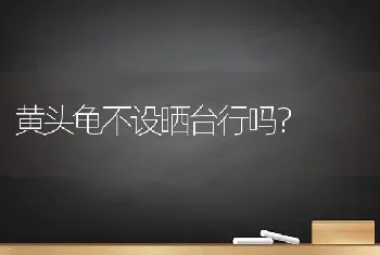 犬瘟用什么消毒液最好？